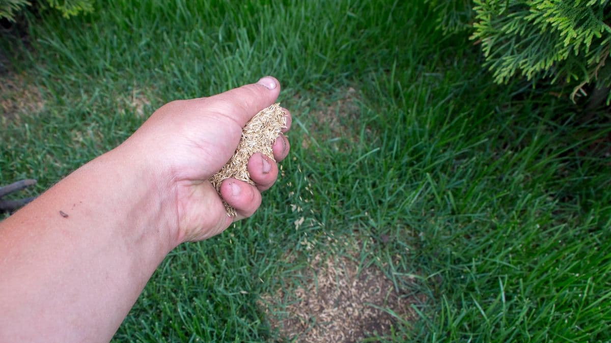 Gardeners must do 1 simple task in April for greener lawns