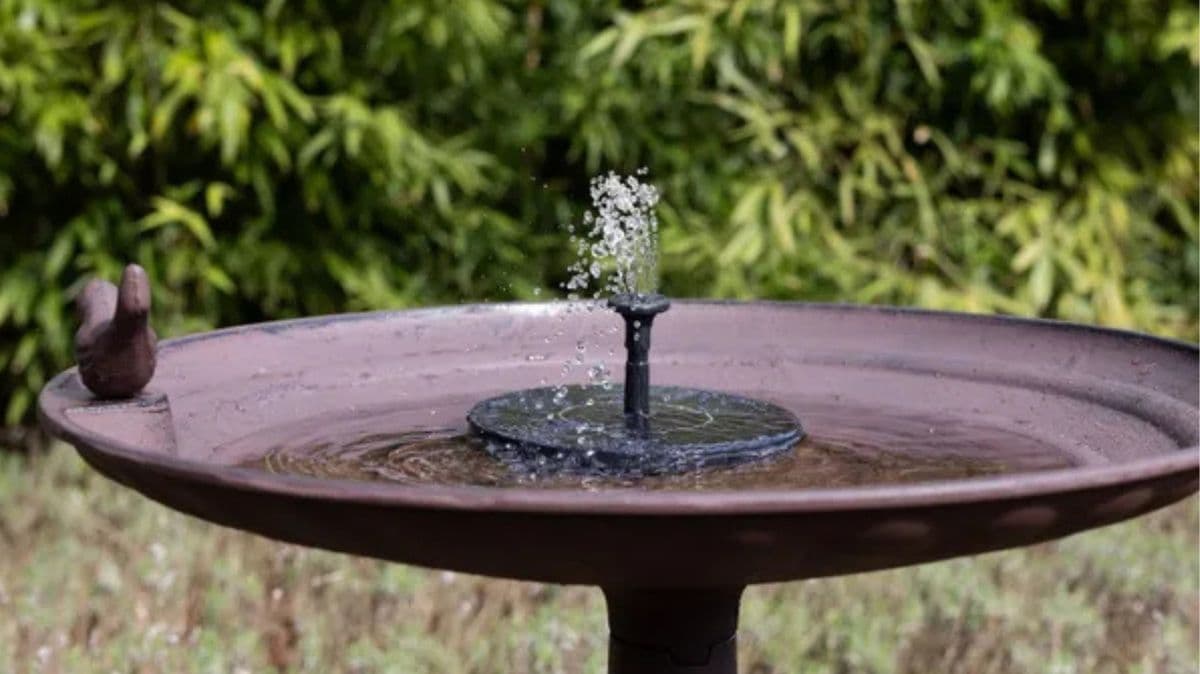 Dunelm's £14 Solar Bird Bath for a Wildlife Garden