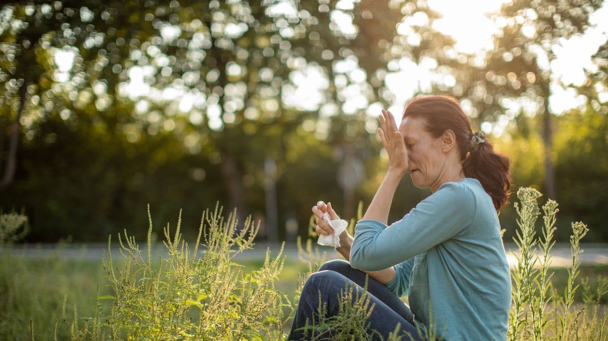 Gardeners warned of 4 weeds that can cause asthma and property damage