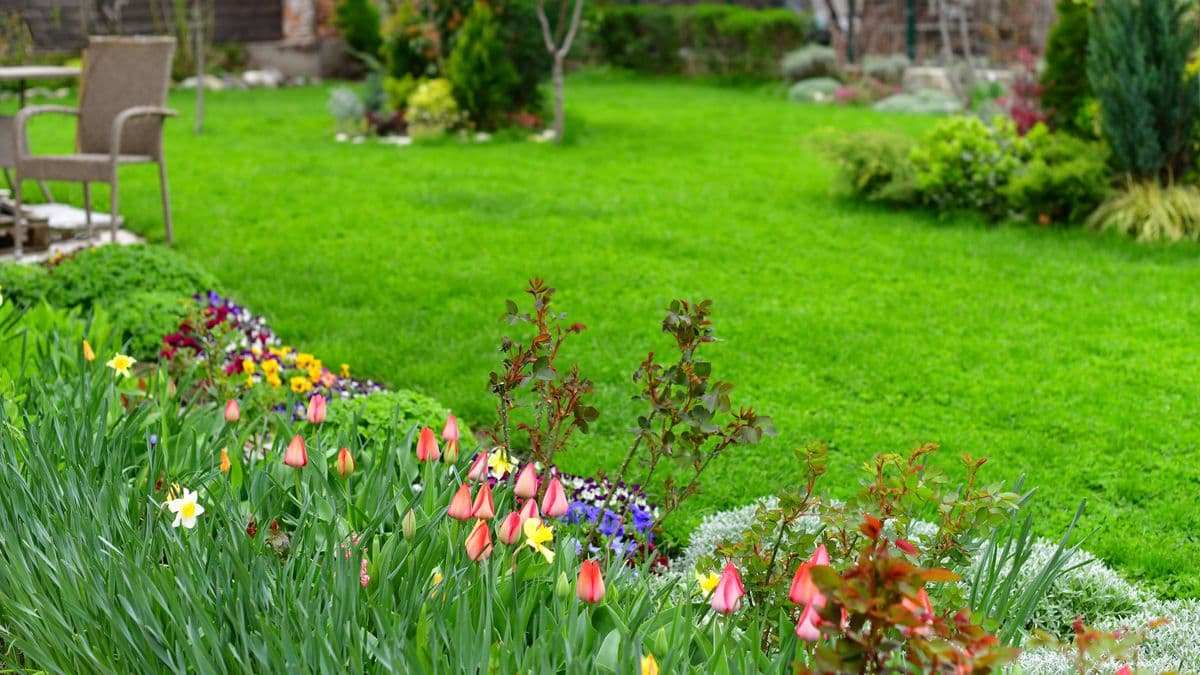 Help Your Lawn This April