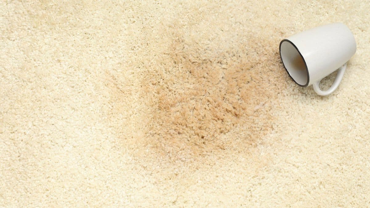 Remove carpet stains with a common bathroom item in minutes