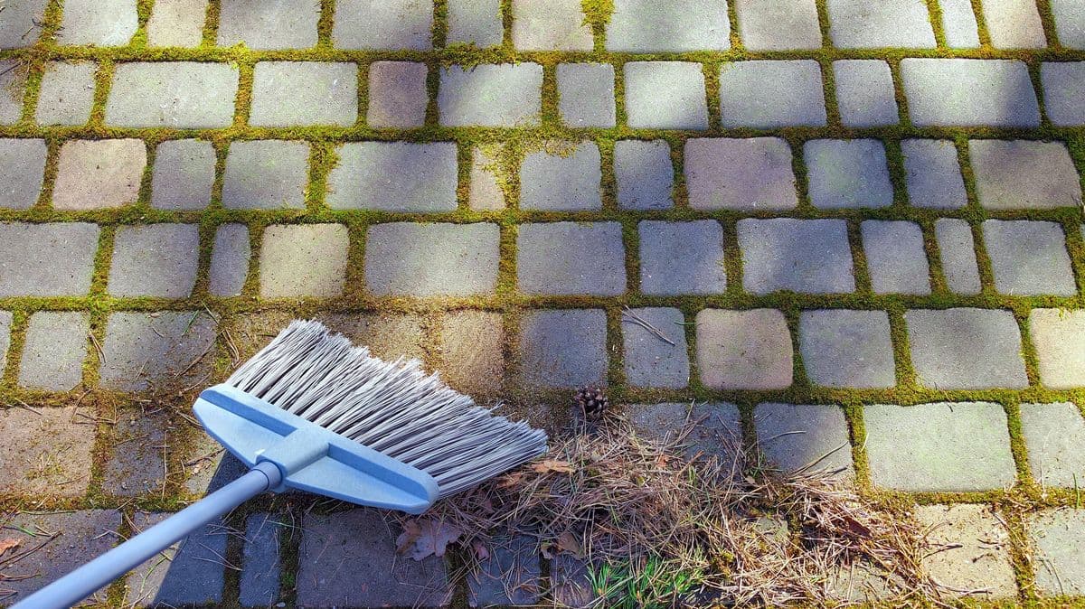 Easy Way to Remove Patio Moss with £1.40 Kitchen Item