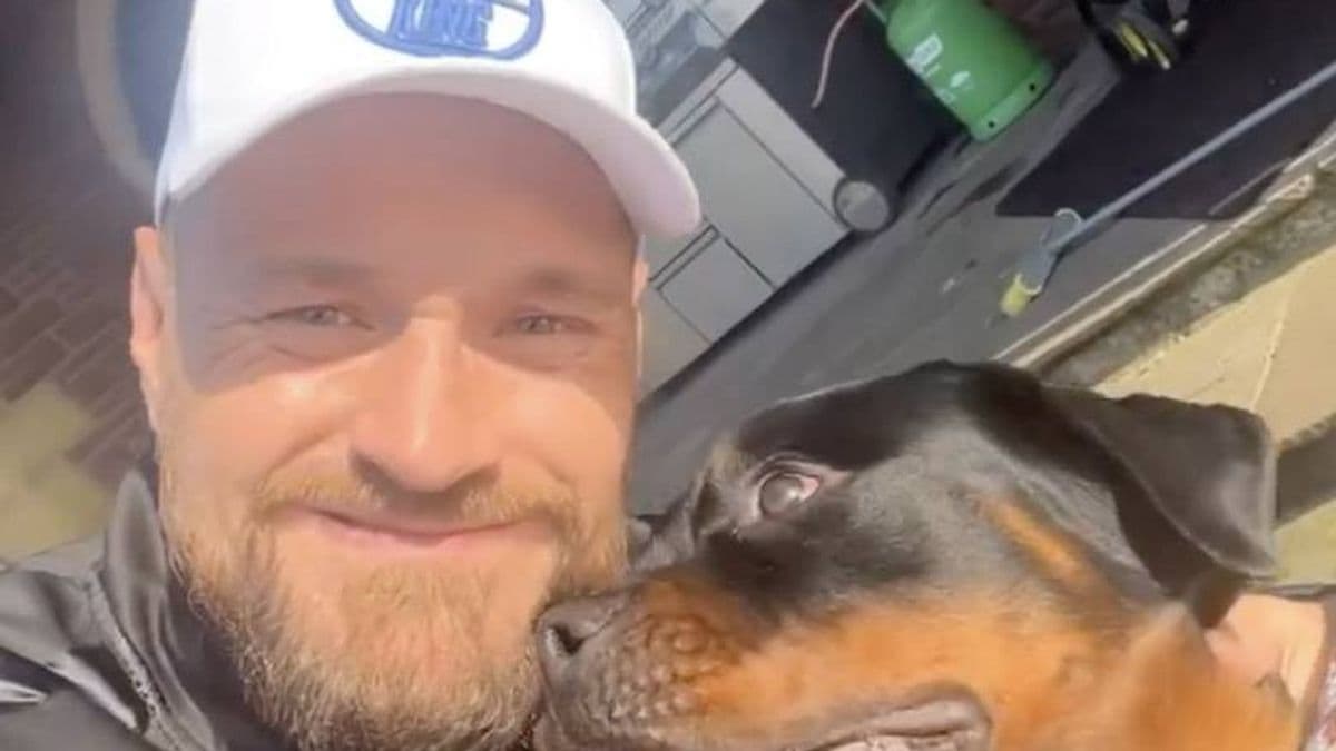 Tyson Fury's Dog Cash: A Netflix Tribute