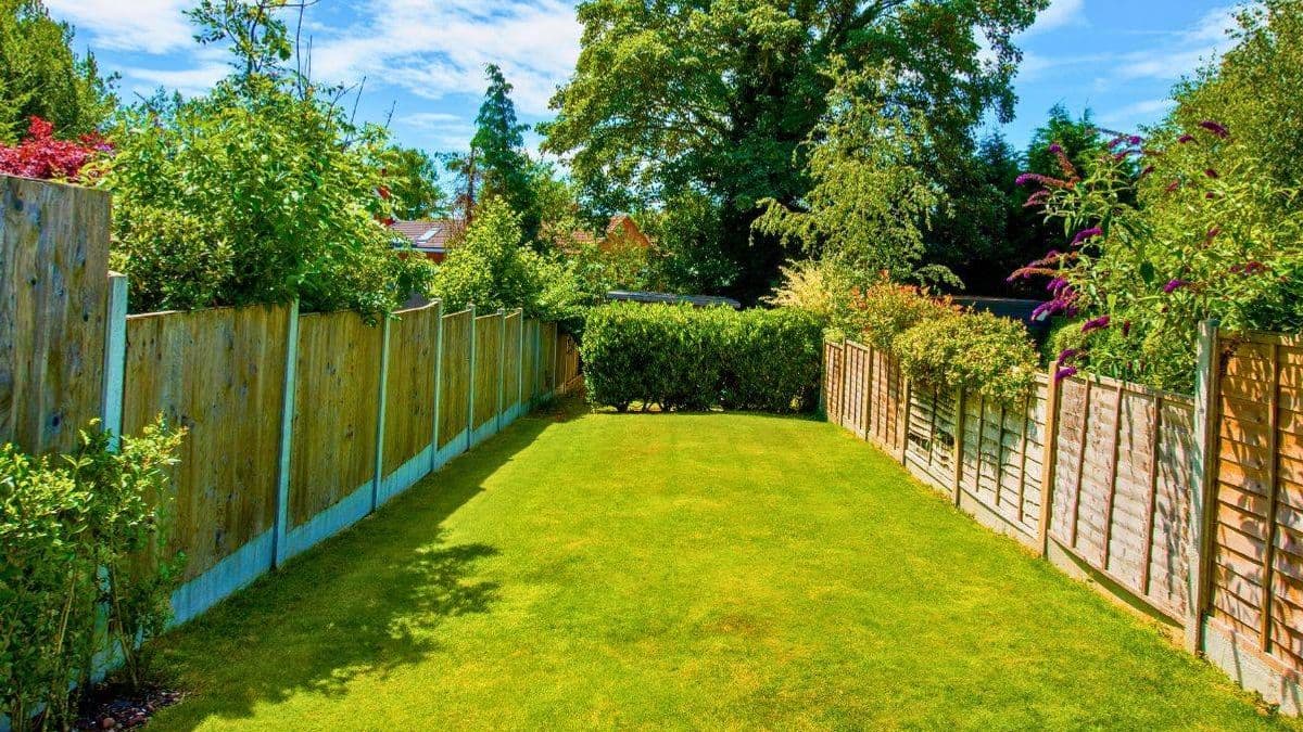 Use a Bathroom Item for a Greener Lawn this April