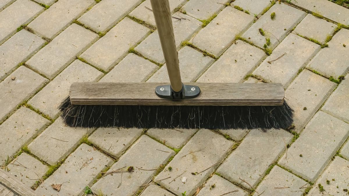 I Clean Patio Moss and Algae in 1 Hour for 30p