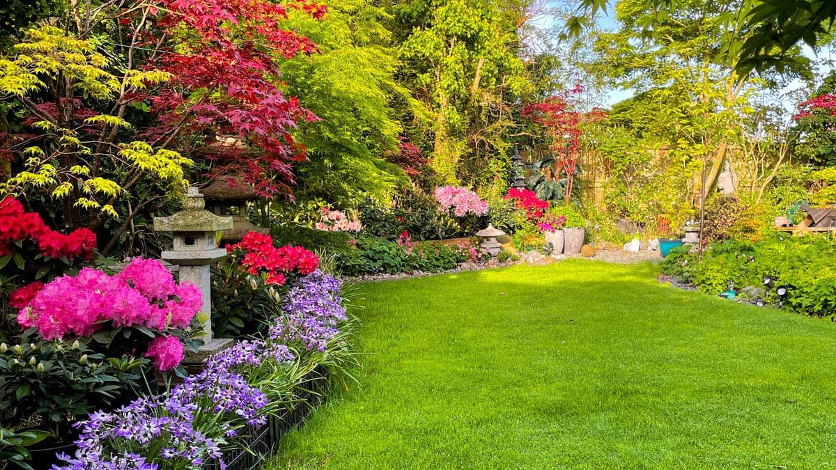 Easy 3-Step Lawn Care for a Perfect Summer Lawn