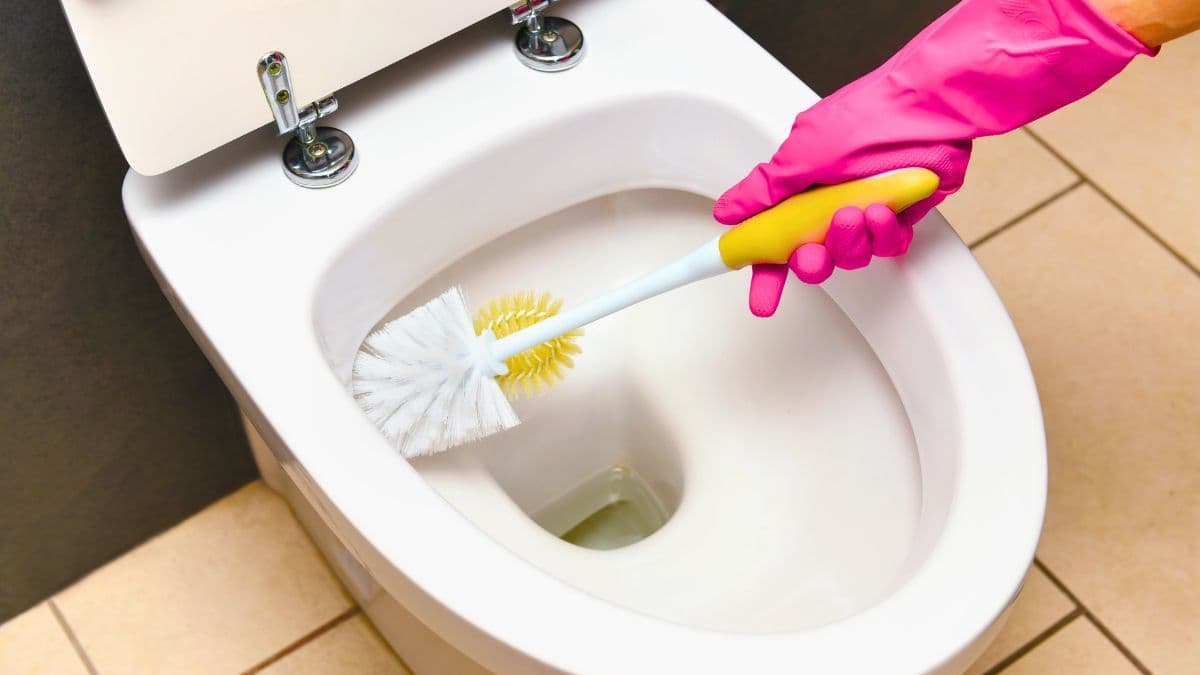Toilet Stains Will Disappear with a Better Household Item