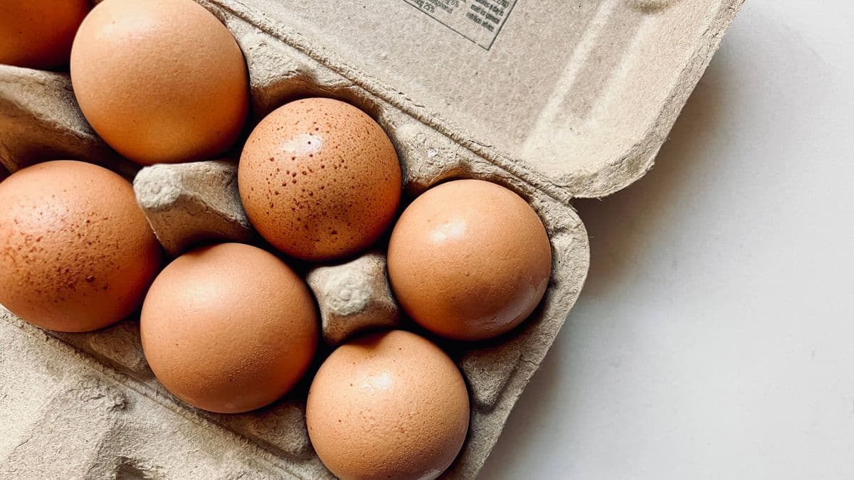 Keep Eggs Fresh Longer with the American Way