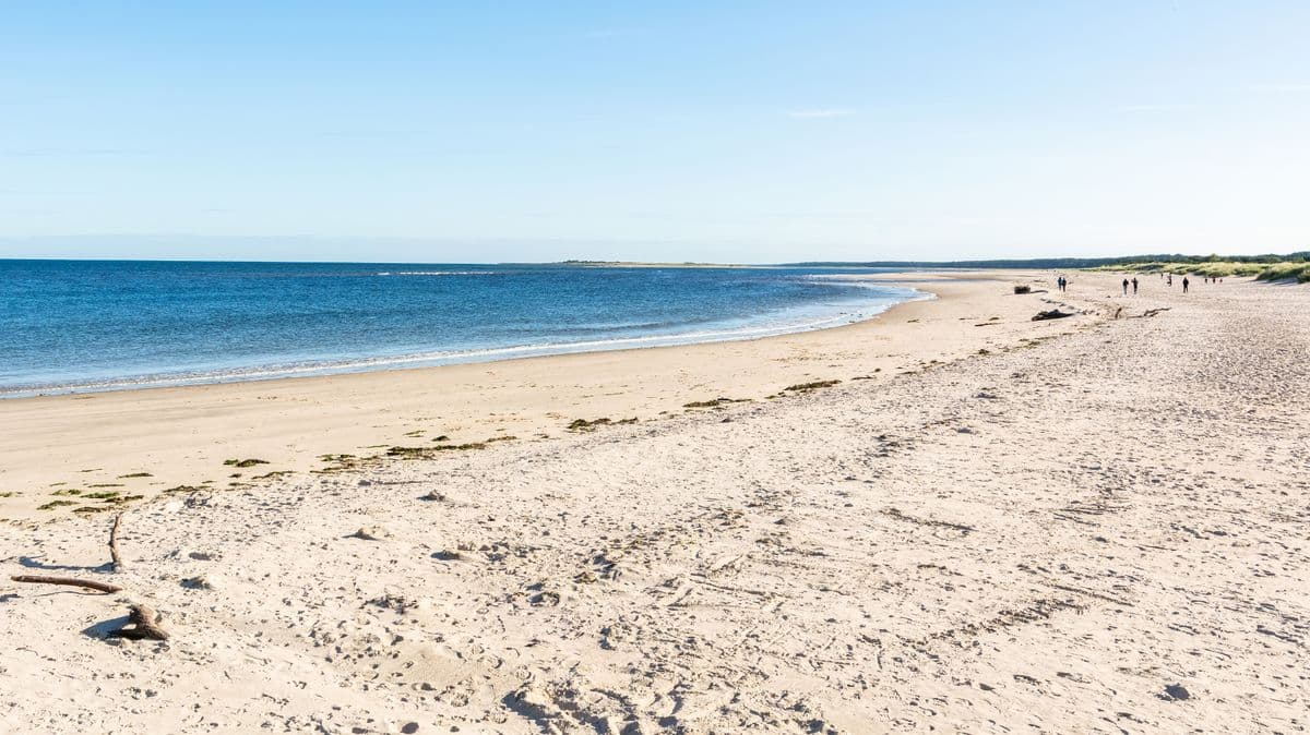 5 Beautiful UK Beaches You Can Visit by Train