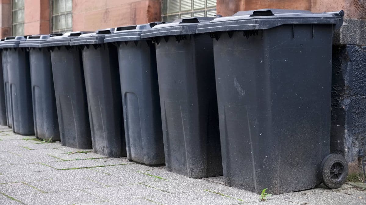 Wheelie Bins Might Be Ignored If Binmen Find Common Item Inside