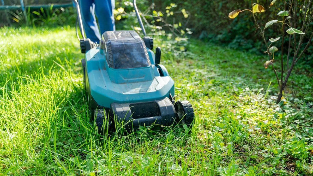 Alan Titchmarsh Shares Lawn Mowing Tips