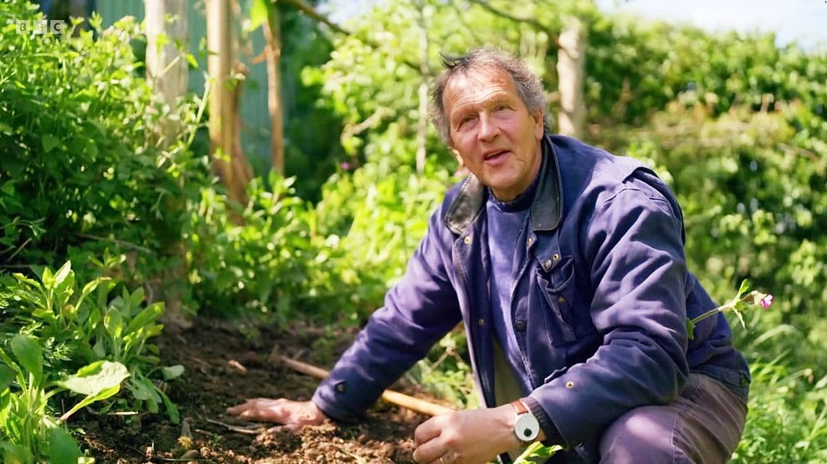 Monty Don's Important Gardening Tip for Lavender