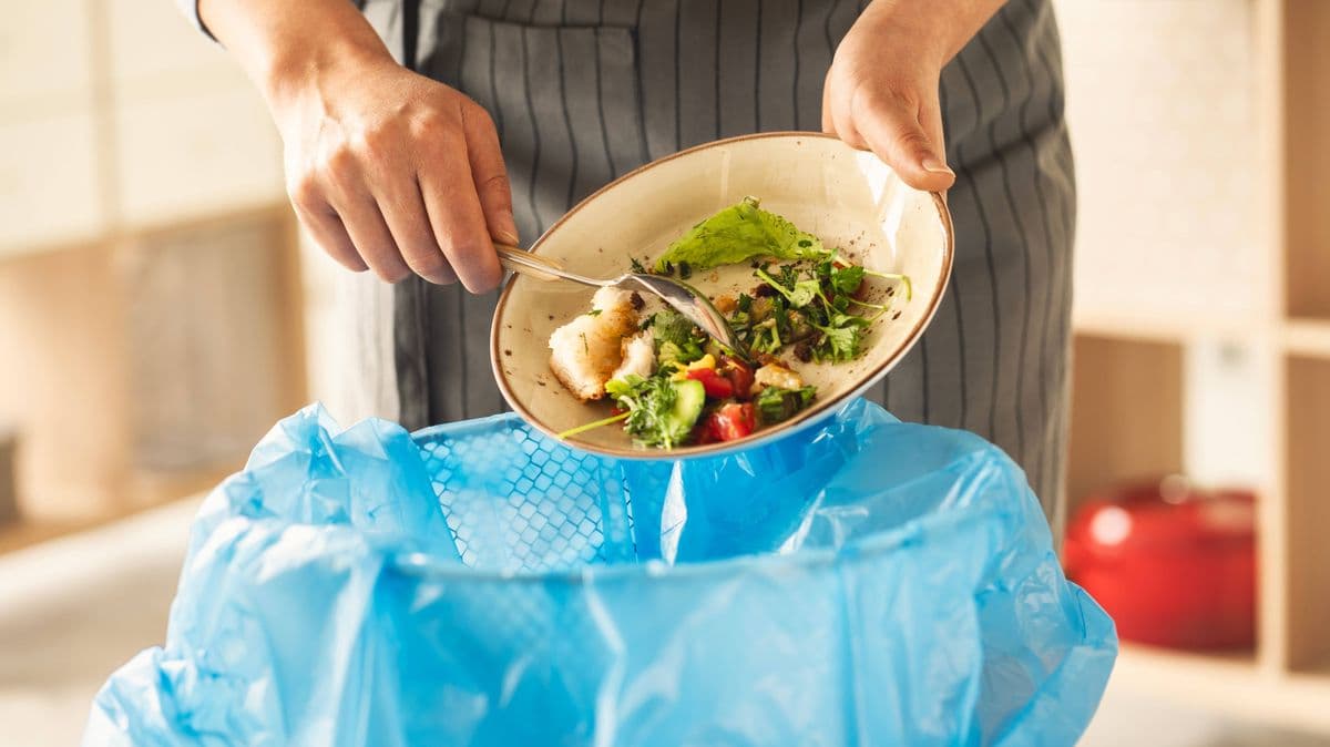 Stop Making Two Mistakes with Your Food Waste Bins