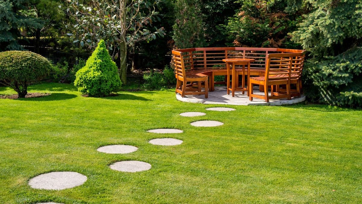 Make Your Lawn Look Better with One Easy Step