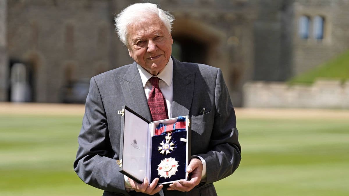David Attenborough Asks Gardeners to Stop One Habit