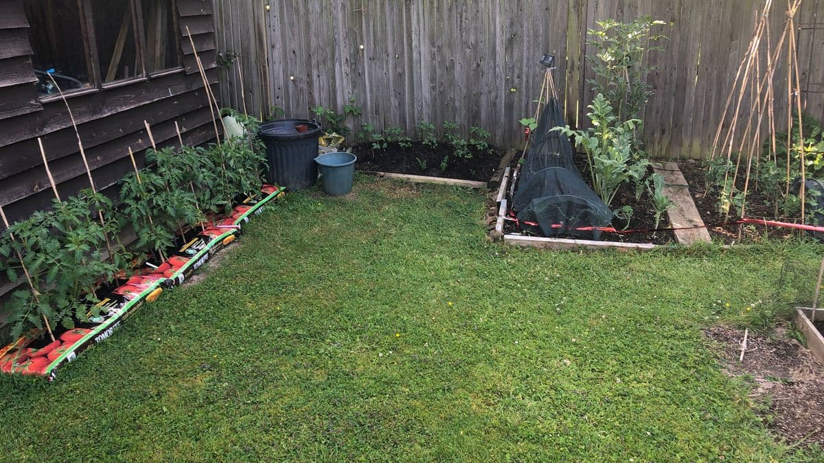 5 Garden Items to Remove for a Better Look