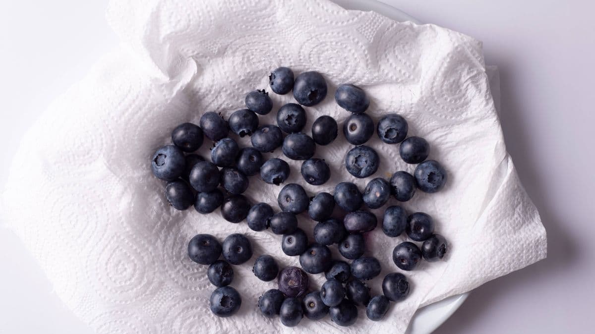Keep Blueberries Fresh Longer