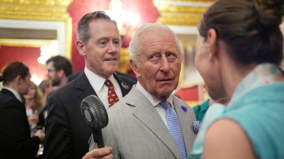 King Charles Gets Help from Aide Due to Heat at Climate Event