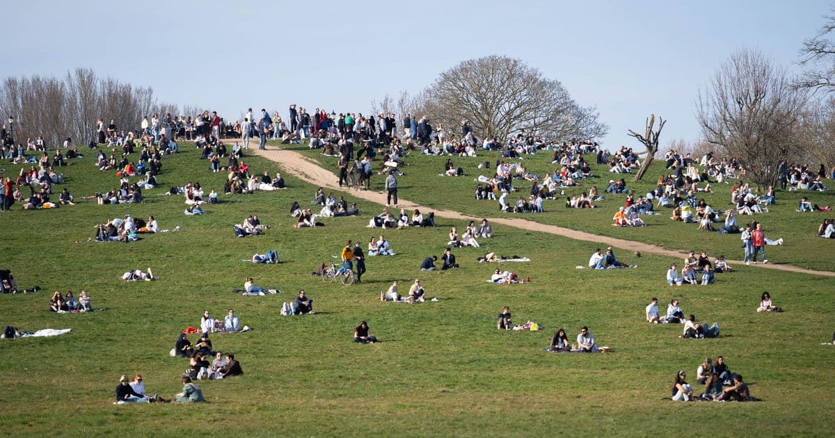 Man, 21, Dies After Fight in Primrose Hill