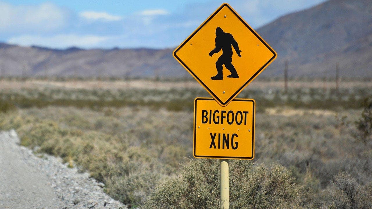 Bigfoot Hunter Claims Conspiracy After Cornell University Denies DNA Test