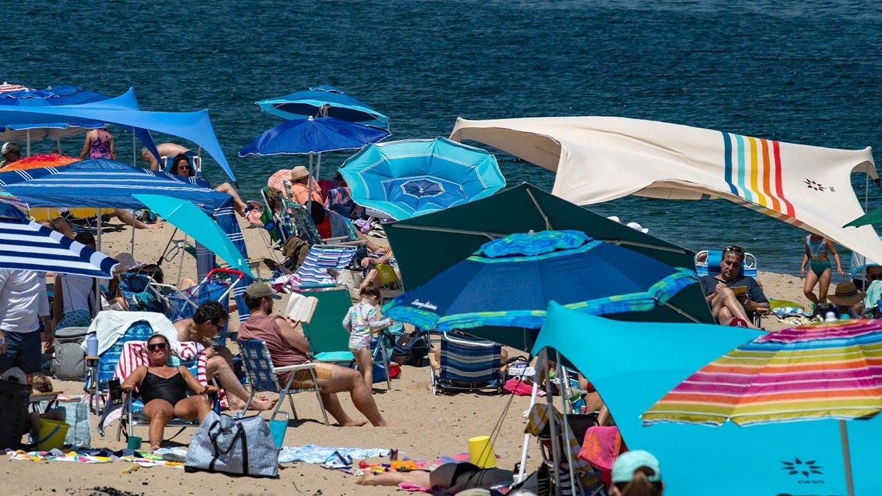 Why Great White Sharks Have Become a Summer Staple off Cape Cod