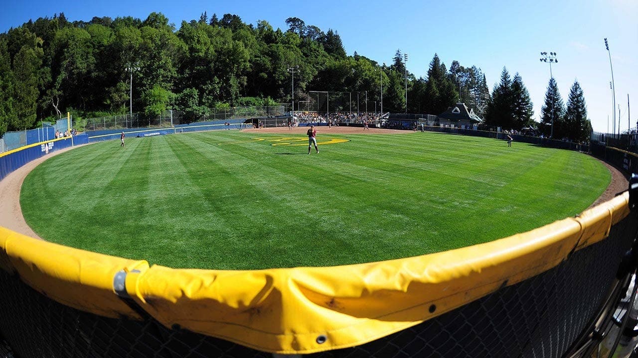 What the Cal Softball Lawsuit Reveals About Power and University Duty