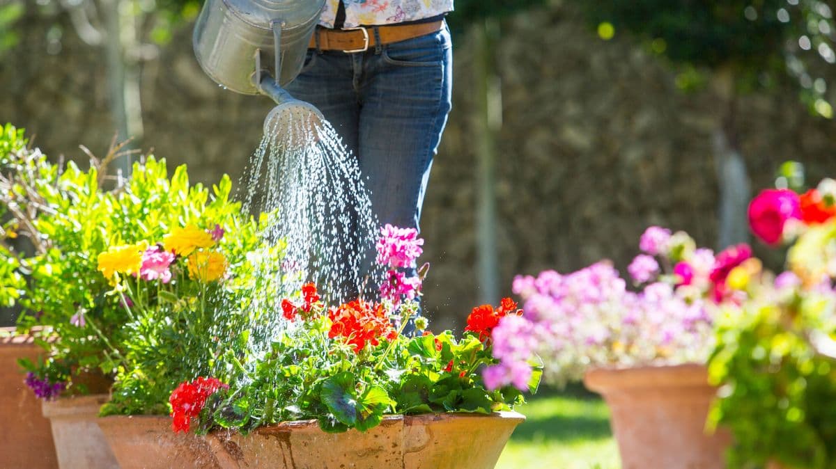 Gardeners Must Stop Making A Big Mistake When Watering Plants gardeners-must-stop-making-a-big-mistake-when-watering-plants